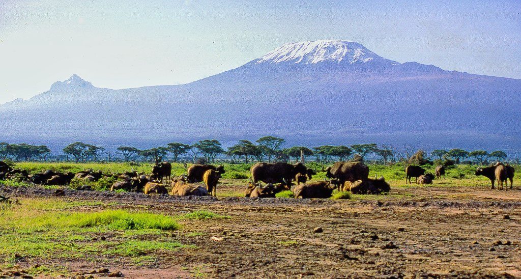 Tanzania's Diverse Landscapes (Image Credits: Flickr)