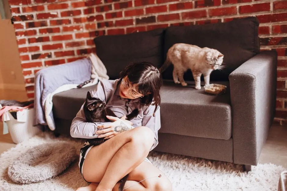 Cancer: The Nurturing Cat Companion (Image Credits: Pexels)