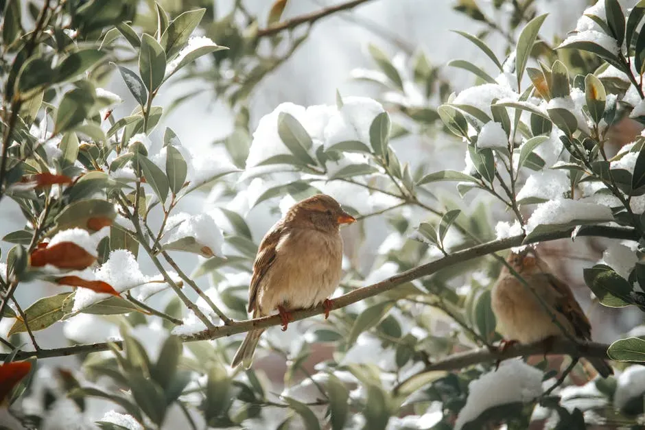 Familiar Birds in Unfamiliar Places (Image Credits: Pexels)