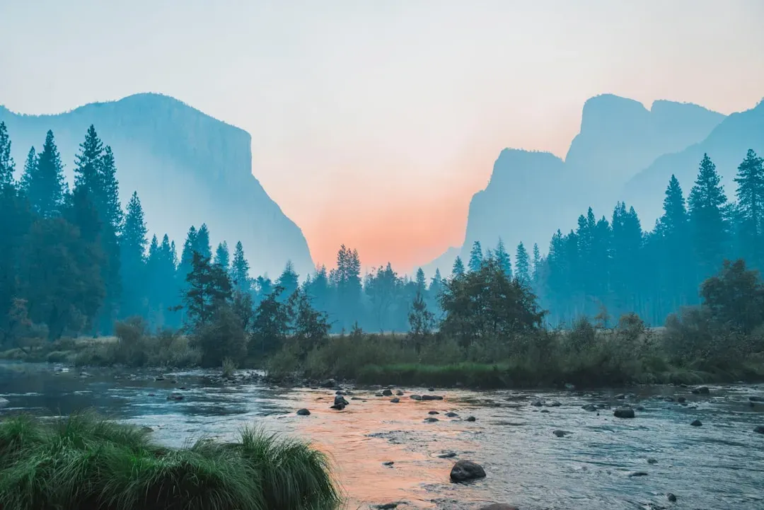 Rivers That Shape Continents and Cultures (Image Credits: Unsplash)