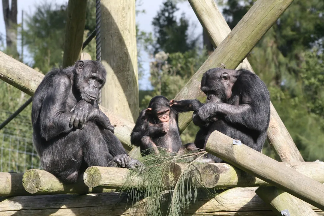 #8 Friendly Behavior Spreads Through the Group Like a Social Signal (Image Credits: Unsplash)