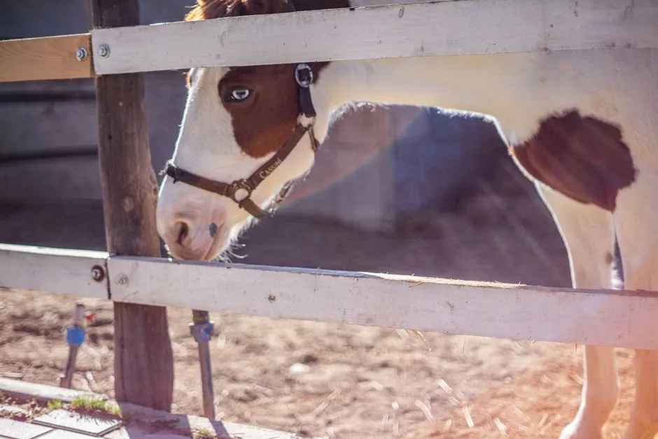 #3 &ndash; Soft Eyes, Half-Closed Lids, and a &ldquo;Melty&rdquo; Face (Image Credits: Pexels)