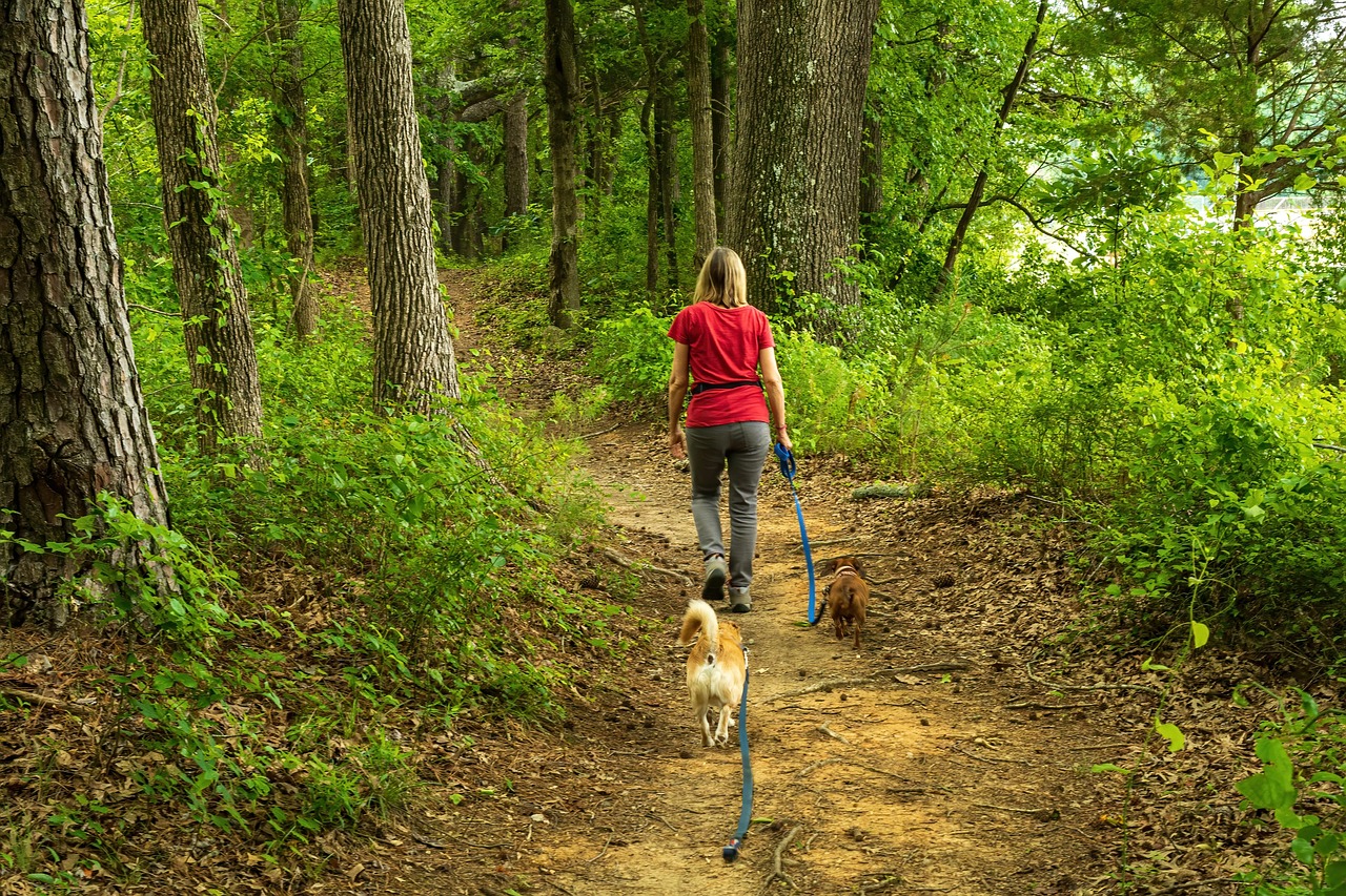Heart-Healthy Companions with Measurable Results (Image Credits: Pixabay)