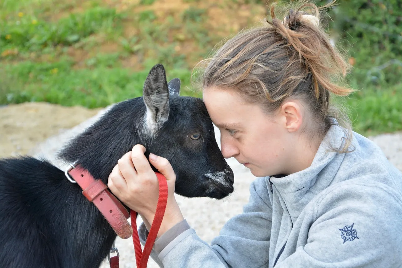 #22 - Goats: Affectionate Chaos, Equal-Opportunity Attachment (Image Credits: Pixabay)