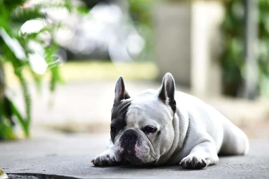 #10 - Their Breathing And Body Temperature Feel "Off" (Image Credits: Pexels)