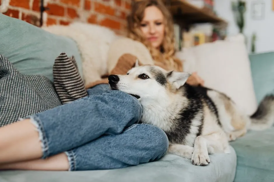 #11 - Sudden "Velcro Dog" Mode With One Specific Person (Image Credits: Pexels)