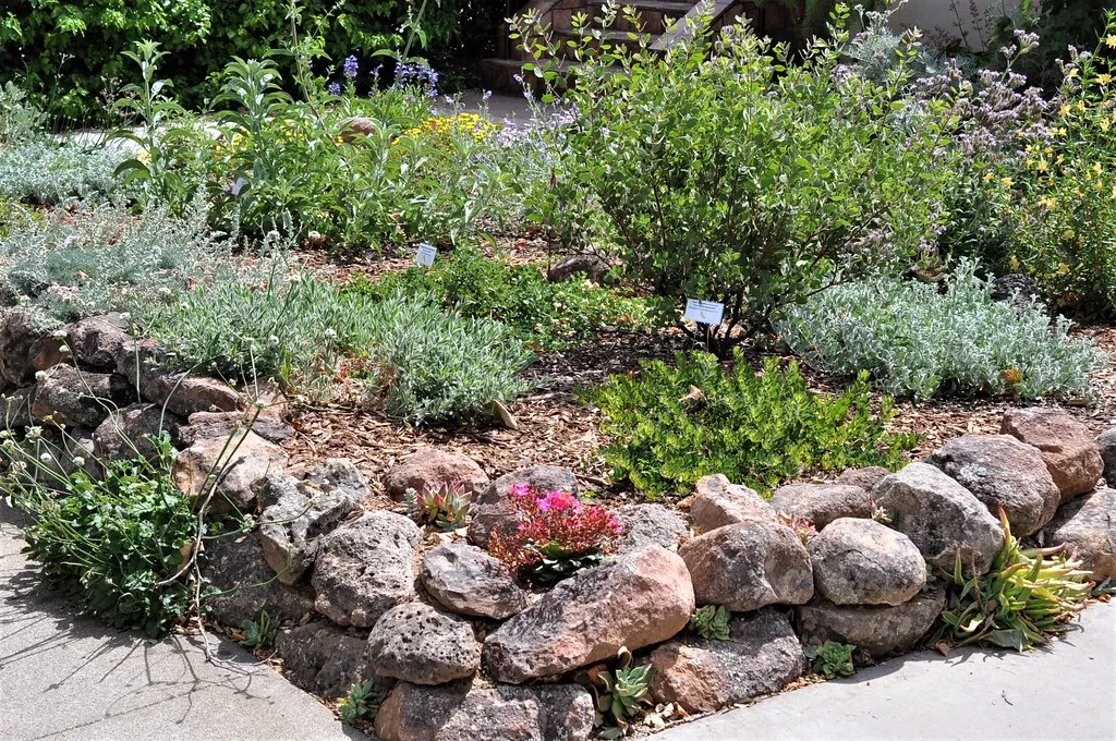 Conclusion: A Garden That Chooses Life Over Perfection (CA Native Plant Society, Flickr, CC BY 2.0)