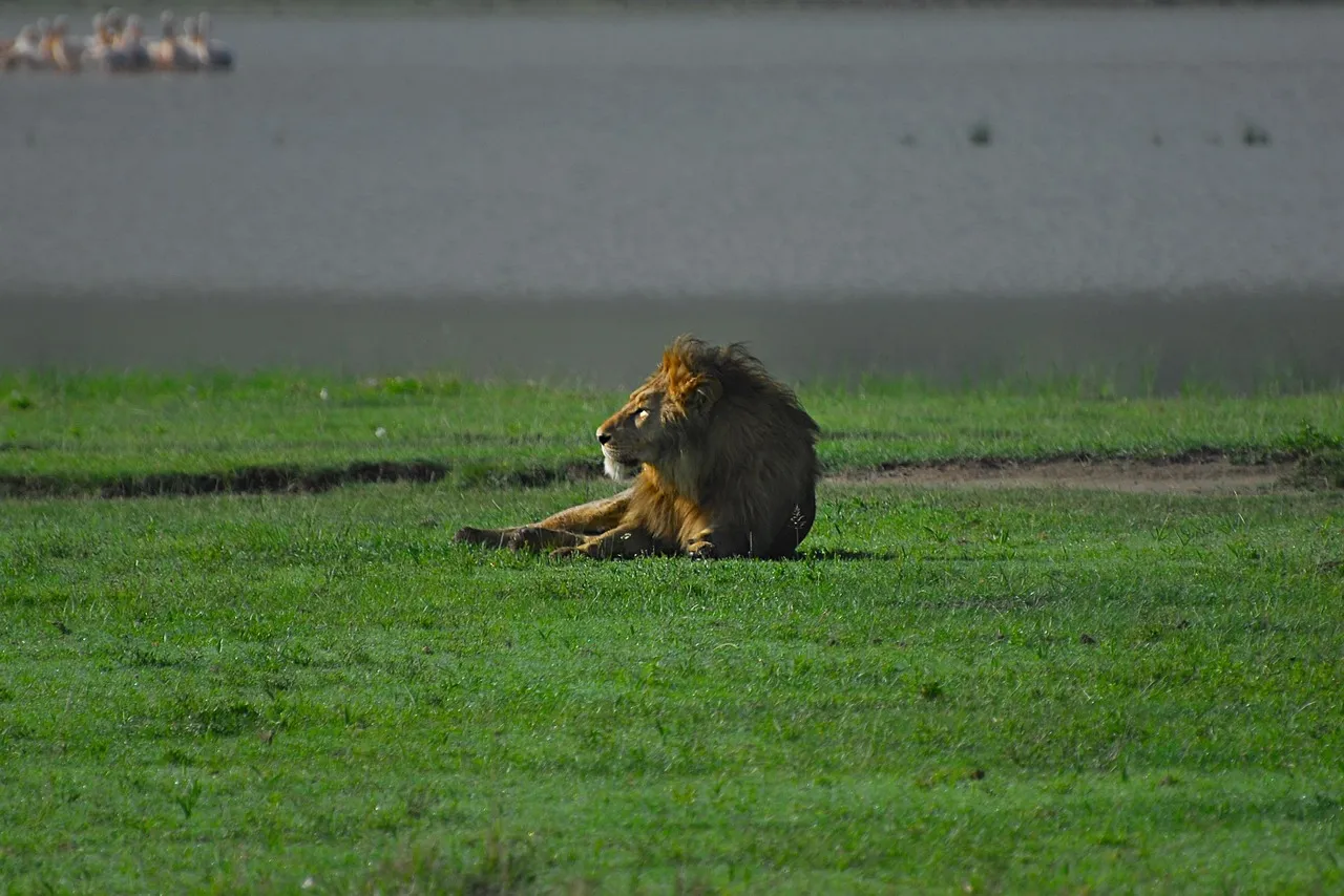 #7 – Ngorongoro Conservation Area, Tanzania (Image Credits: Pixabay)