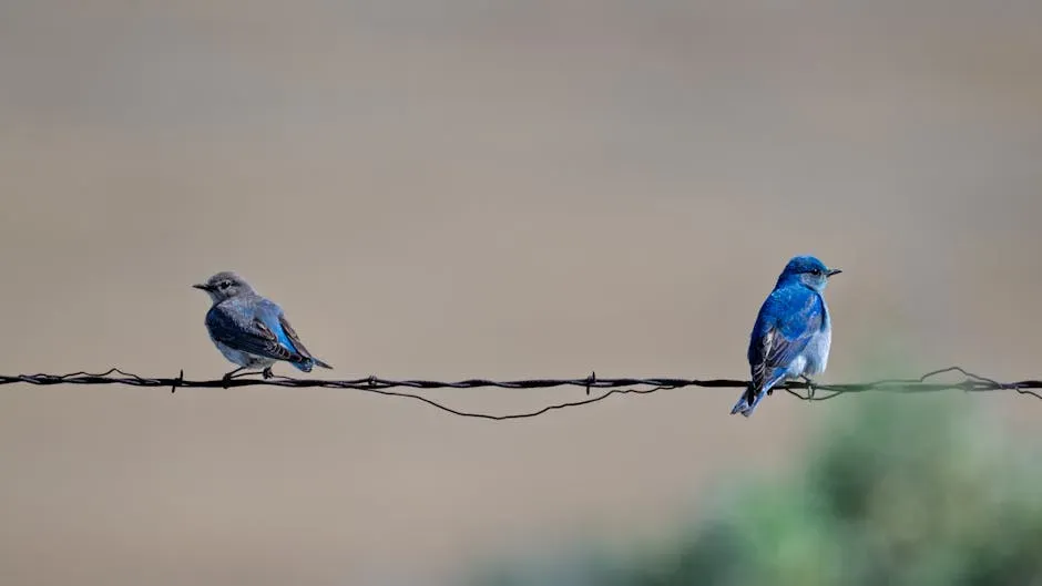 #10: Their Spring Return Migration Is a Well-Timed Annual Event (Image Credits: Pexels)