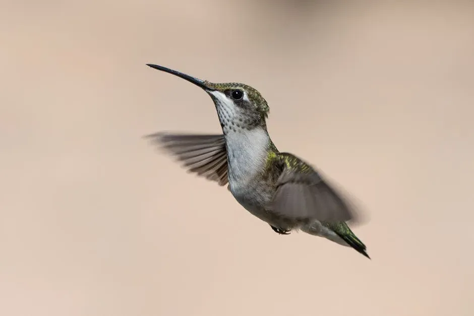 #4: They Are the Only Birds That Can Fly Backwards (Image Credits: Pexels)
