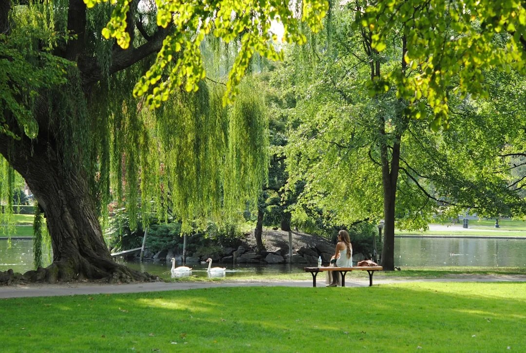 #1 - Your "Local" Quiet Park: The One You Ignore Because It's Too Close (Image Credits: Unsplash)