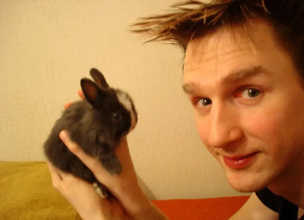 Rabbits: Silent Communicators with Complex Language (Image Credits: Flickr)