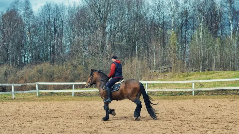 #9 - Once Owners Learn This, They Never Handle Horses the Same Way Again (Image Credits: Pexels)