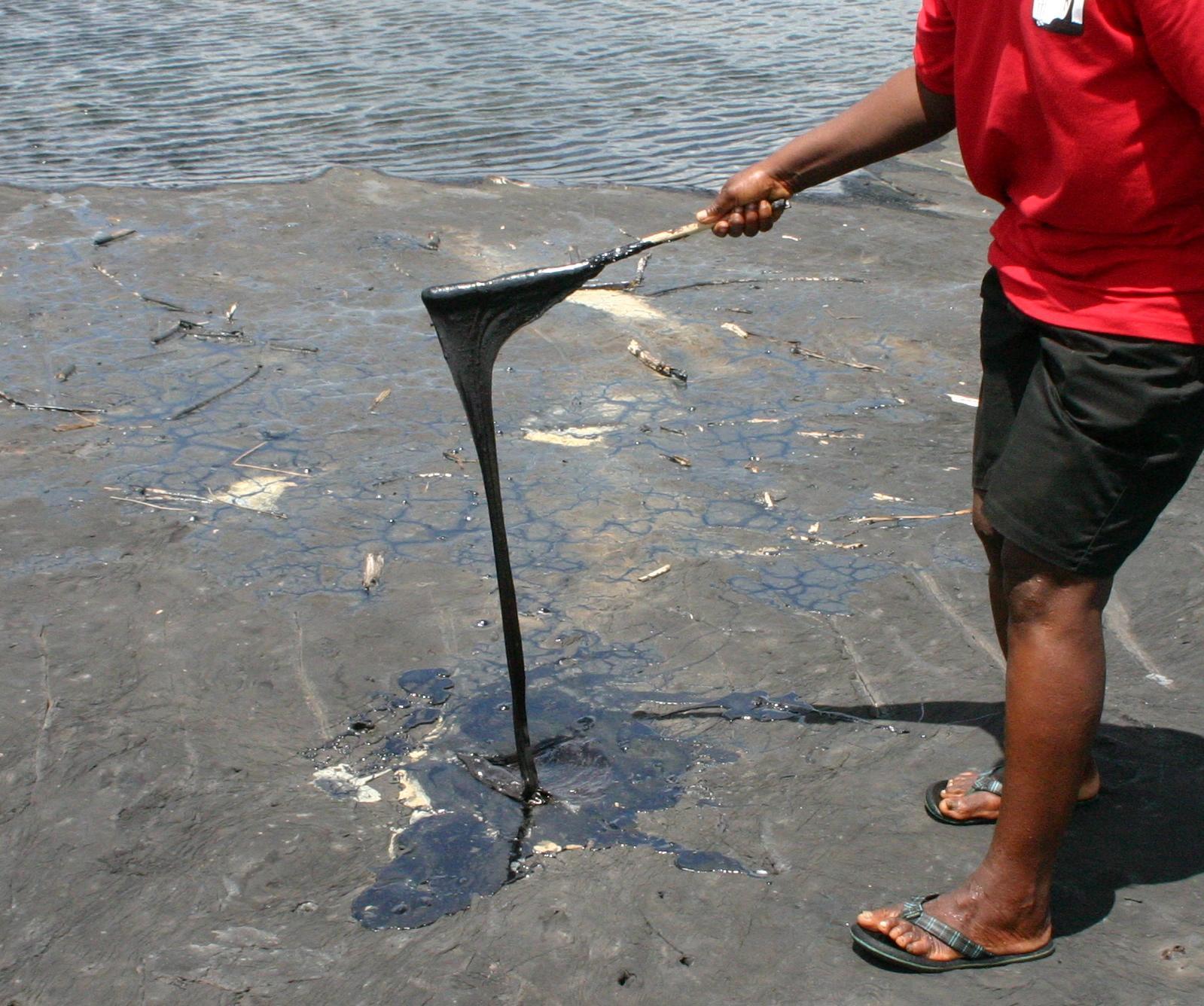 Pitch Lake: Trinidad's Liquid Asphalt Mystery (Image Credits: Wikimedia)
