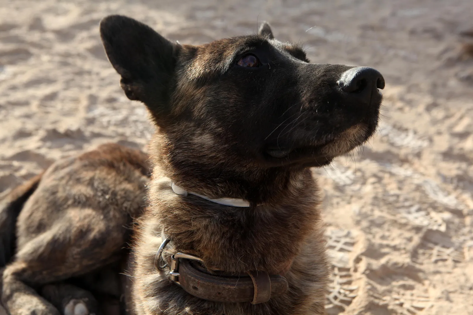 3. Consistent routines, not grand gestures (By Sgt. Brandon Owen, Public domain)