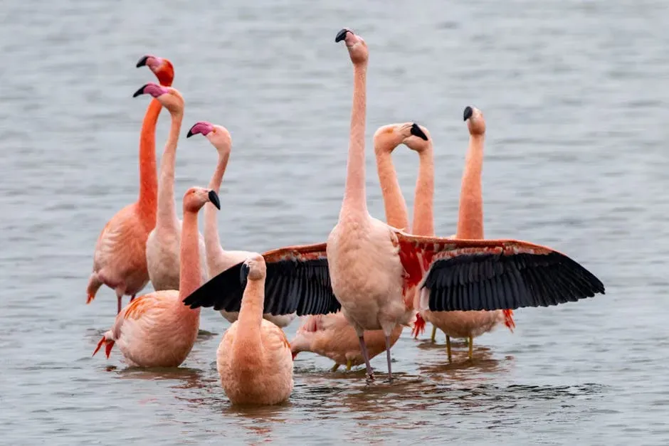 A Storm That Scattered Hundreds of Birds Across a Continent (Image Credits: Pexels)