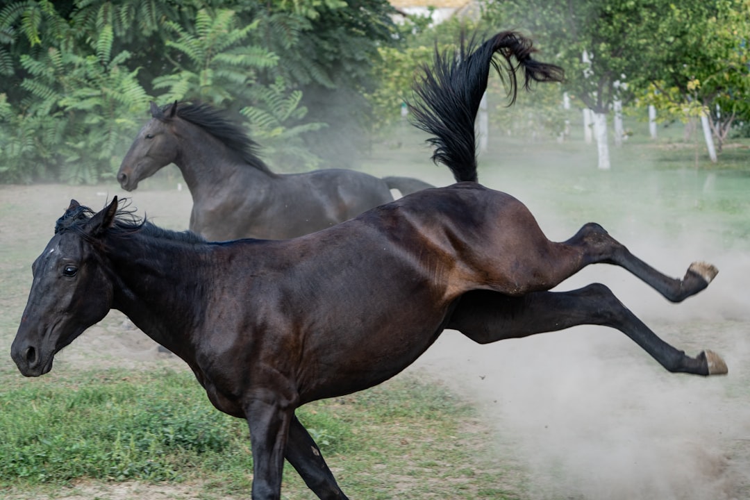 Their Fight-or-Flight Response Can Turn Deadly in Seconds (Image Credits: Unsplash)