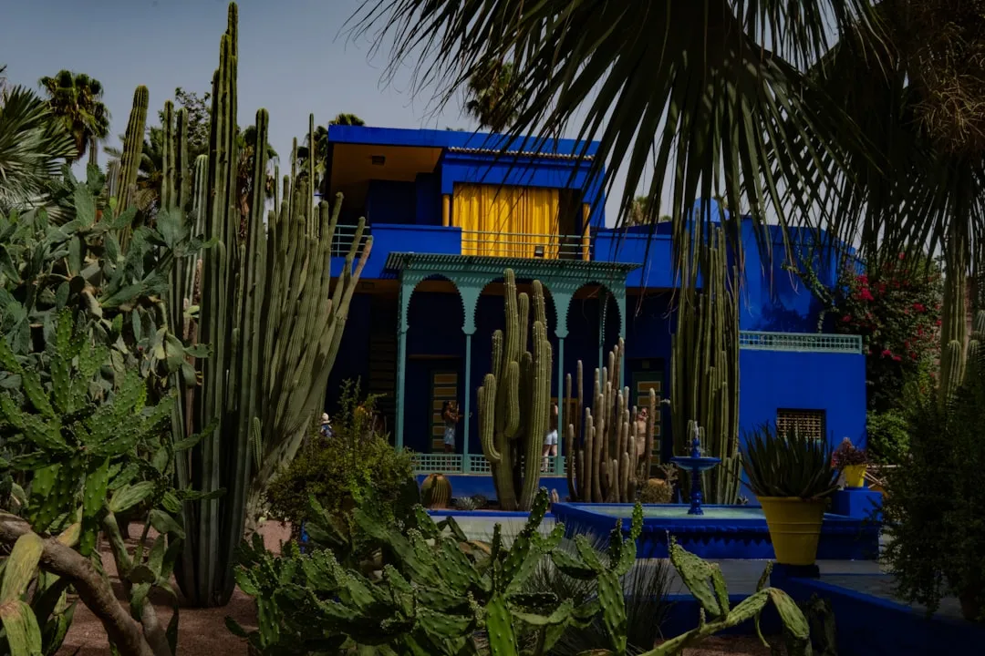 Jardin Majorelle, Marrakech, Morocco (Image Credits: Unsplash)