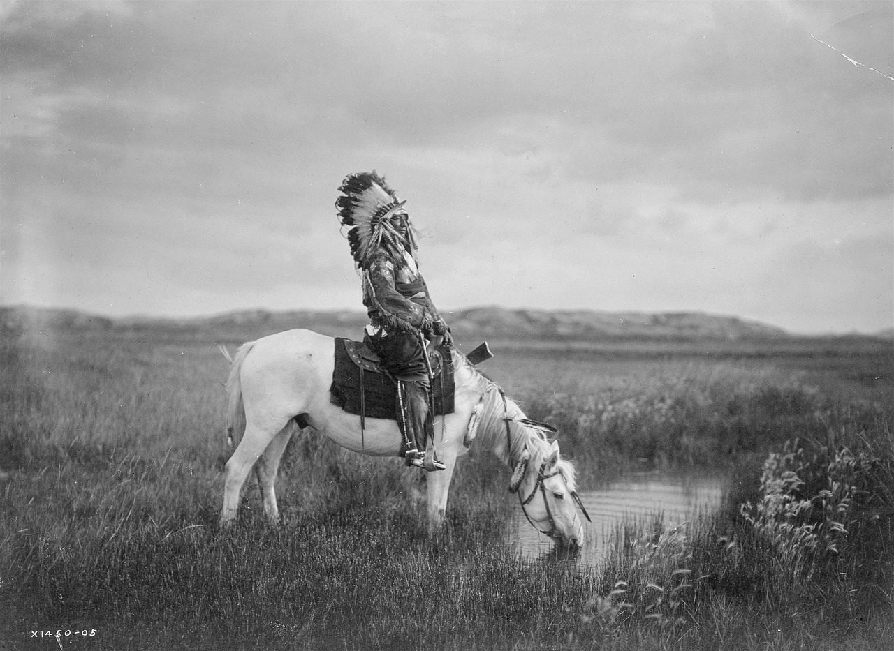 Sioux Nations: The Great Plains Survivors (Image Credits: Pixabay)