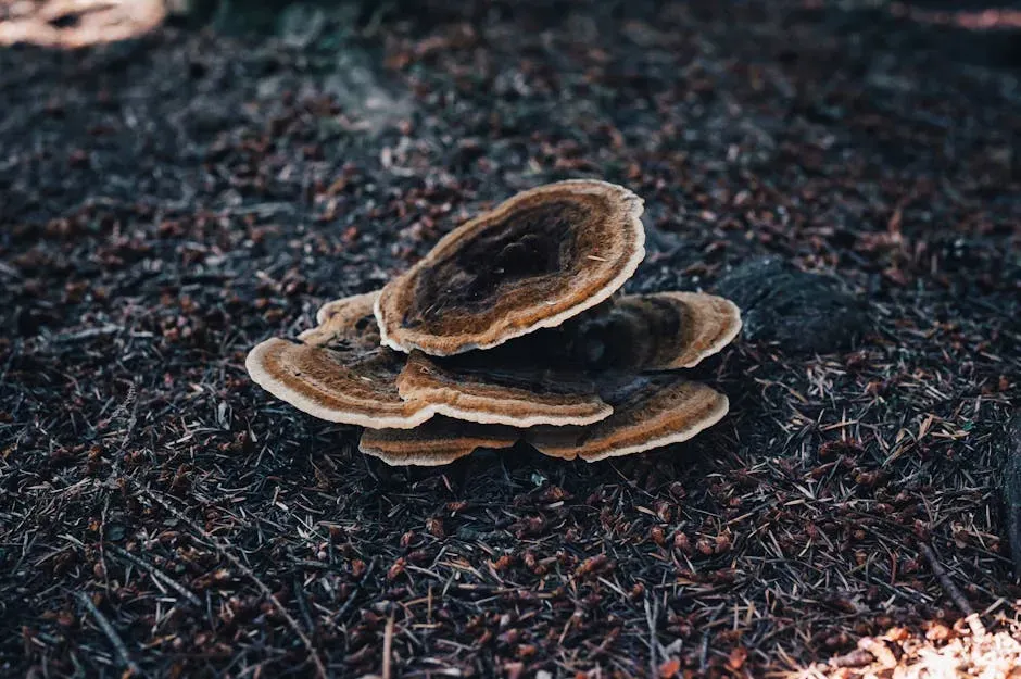 Decomposers: The Invisible Soil Engineers (Image Credits: Pexels)