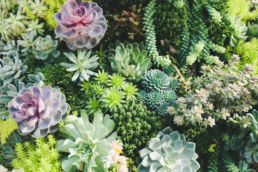#6 - More Fertilizer Does NOT Mean More Growth (Image Credits: Unsplash)