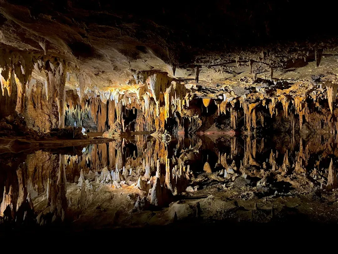 Virginia: Where Nature Plays Music Underground (Image Credits: Unsplash)