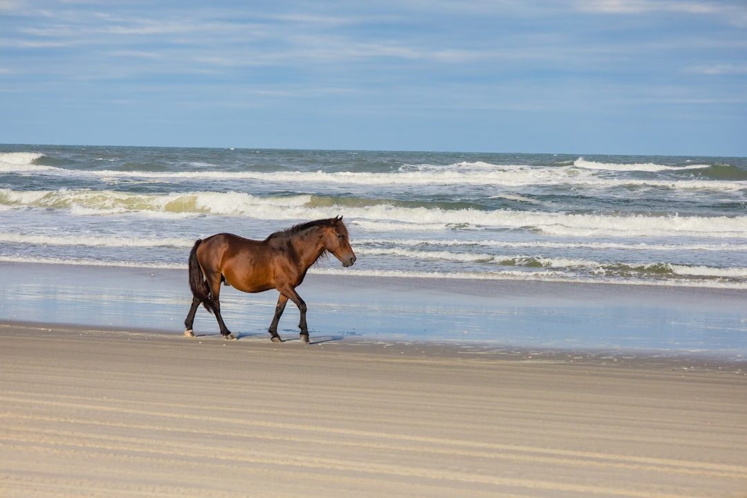 Aquarius: The Independent Free-Roaming Spirit (Image Credits: Unsplash)