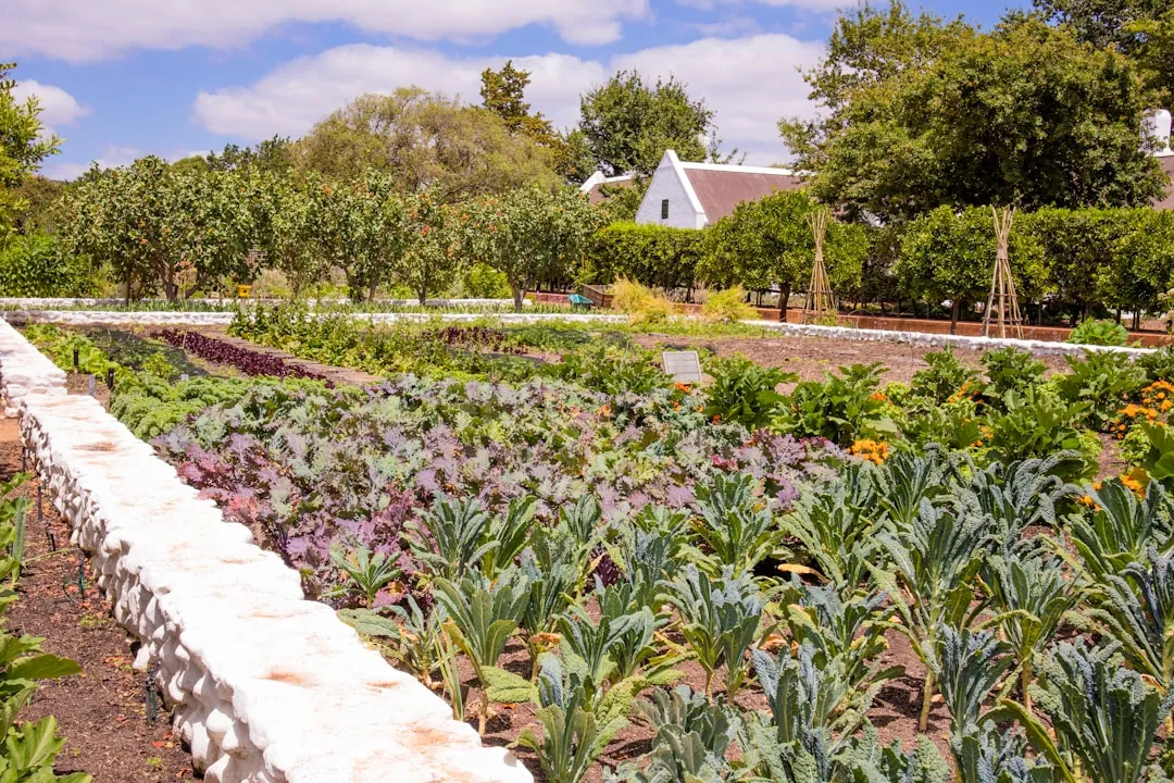 #13 - Planting What Looks Pretty Instead of What You Actually Eat (Image Credits: Unsplash)