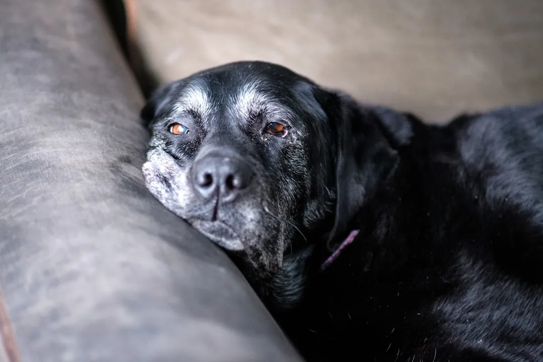 #1 - "Old Age" Starts Way Earlier Than You Think (Image Credits: Unsplash)