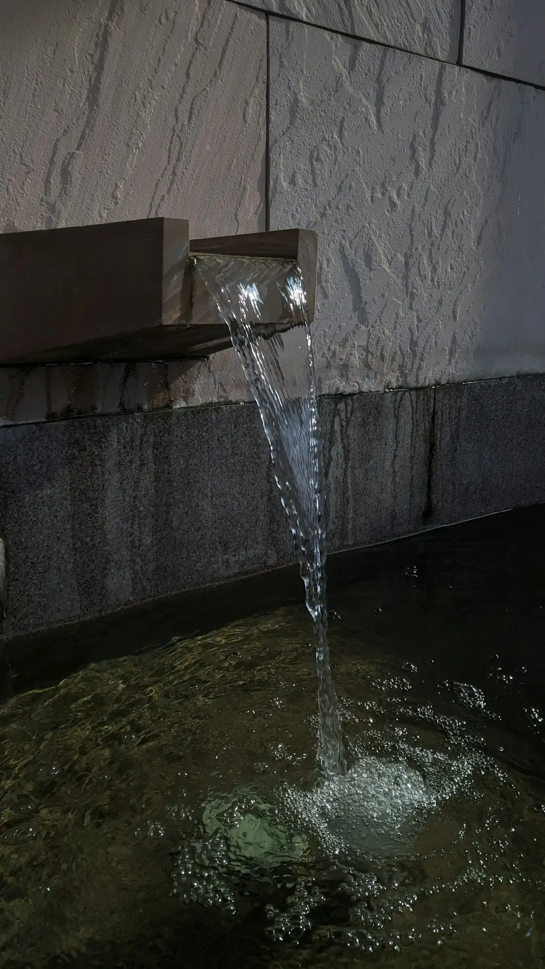 Standing Water and Humid Environments (Image Credits: Unsplash)