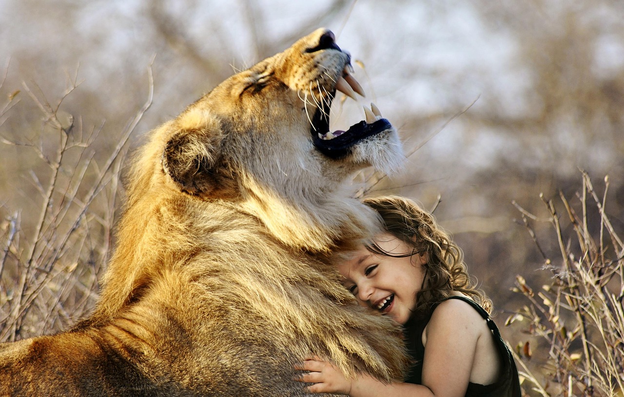Long-Term Memory in Big Cats (Image Credits: Pixabay)