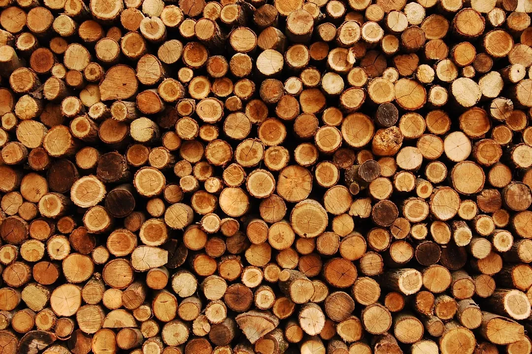 4. Firewood and Debris Stored Against the House (Image Credits: Unsplash)