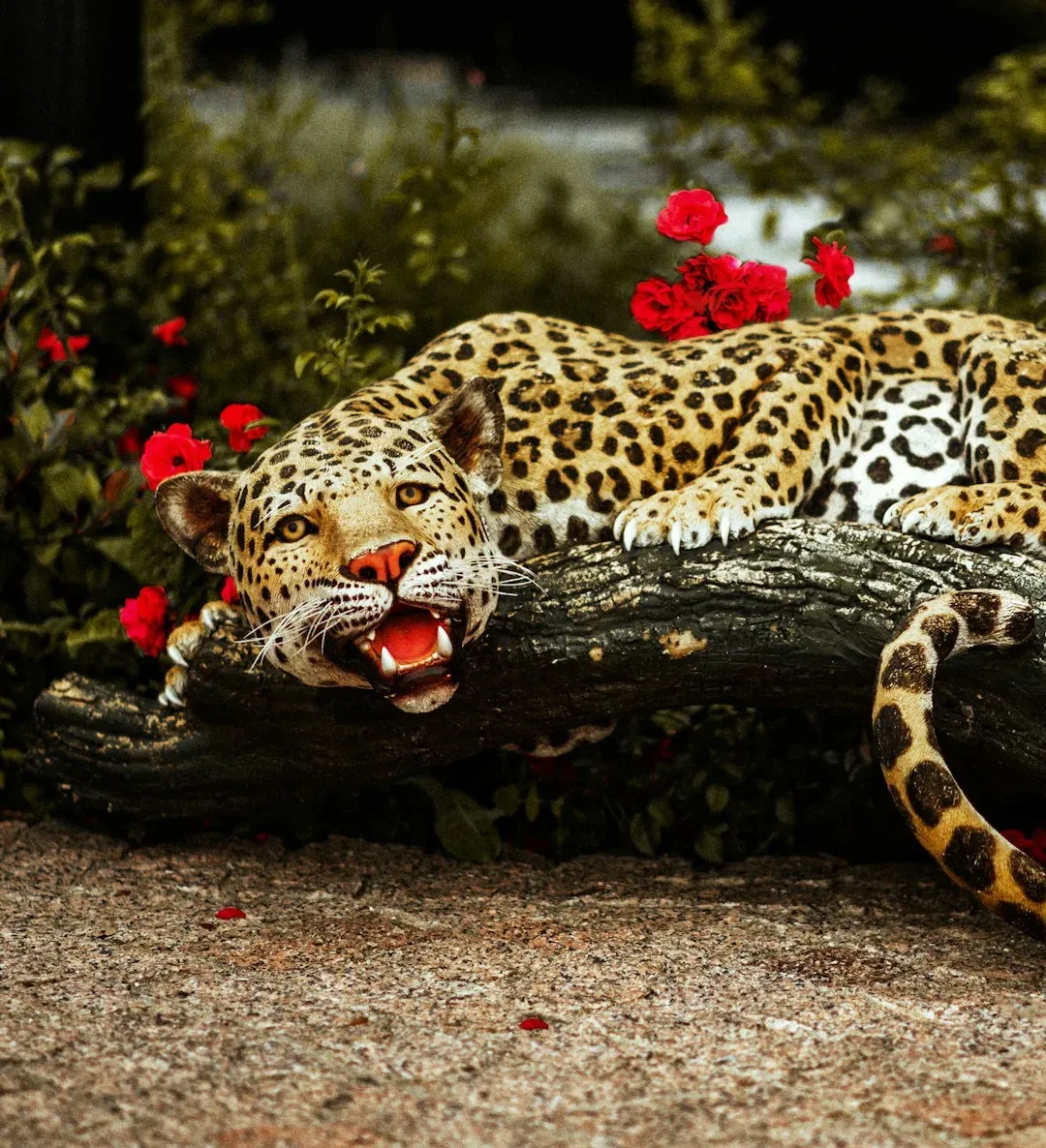 A Bite That Breaks Bones and Shatters Records (Image Credits: Unsplash)