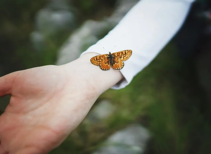 Connection to Nature and Mindfulness (Image Credits: Pexels)