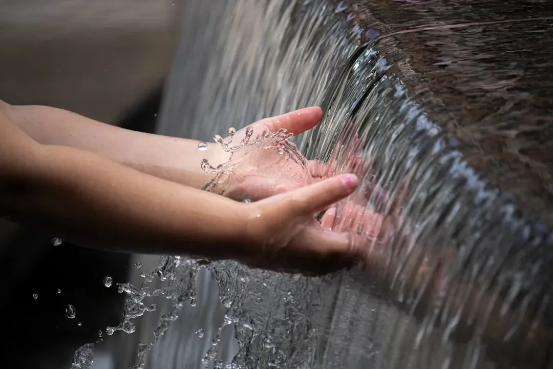 #4: The Fountain of Youth and Other Geographic Fantasies (Image Credits: Unsplash)
