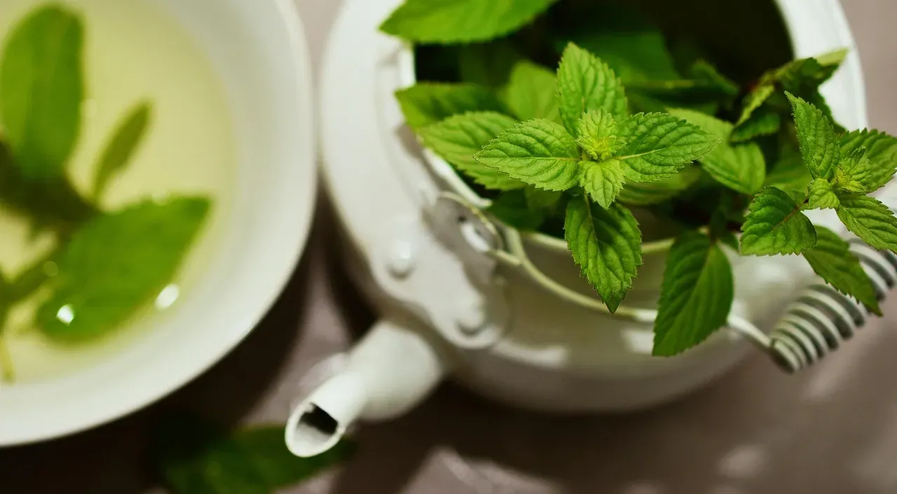 Peppermint: The Fresh-Scented Powerhouse (Image Credits: Pixabay)