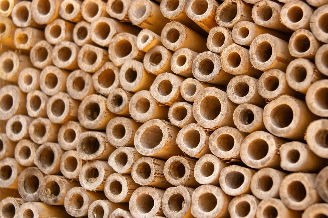 1. Mud Tubes Along Foundation Walls (Image Credits: Unsplash)