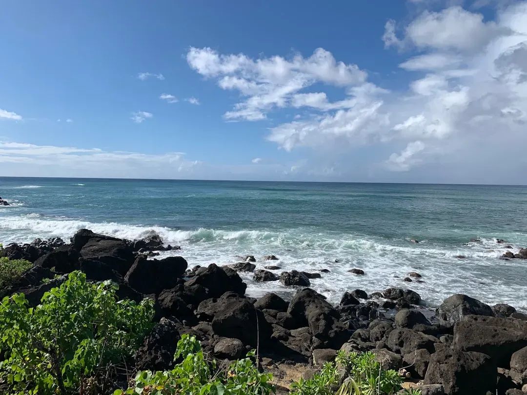 Maui, Hawaii (Image Credits: Unsplash)