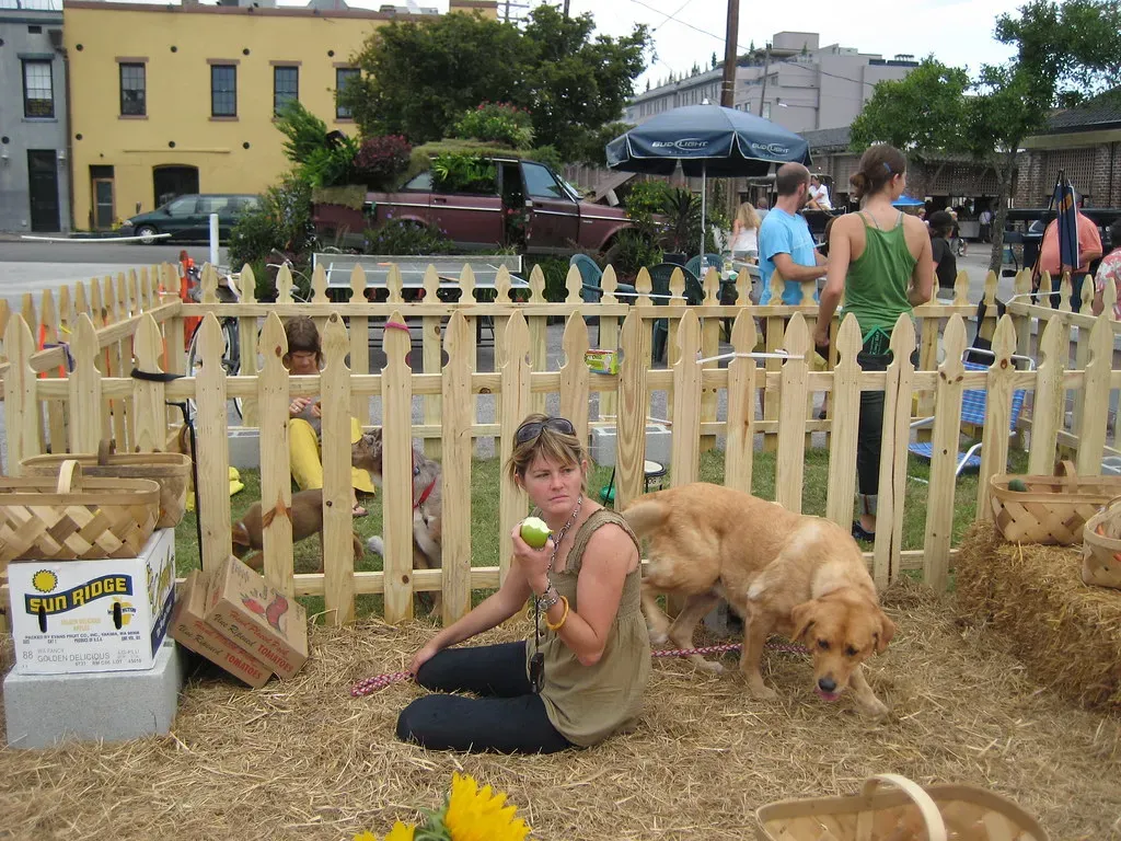 Charleston, South Carolina: Antebellum Elegance with Four Paws (Image Credits: Flickr)