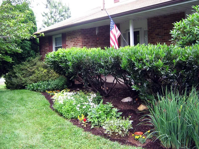 Why Your Garden Needs This Boost (Image Credits: Flickr)