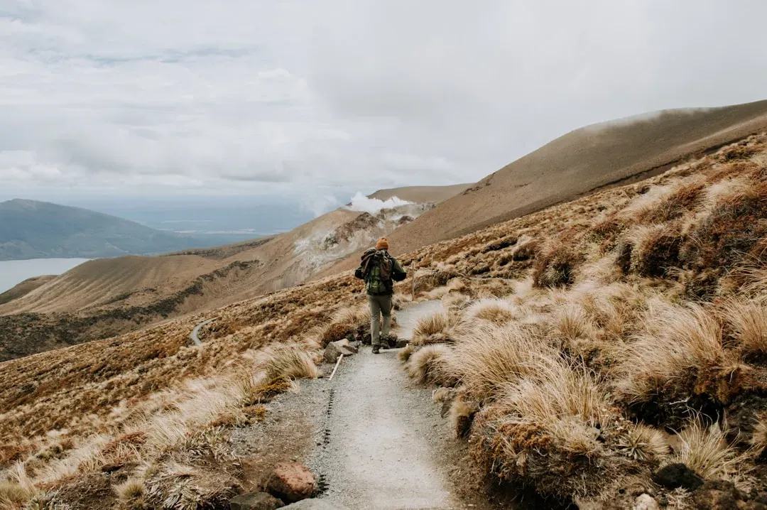 #5. New Zealand (Image Credits: Unsplash)