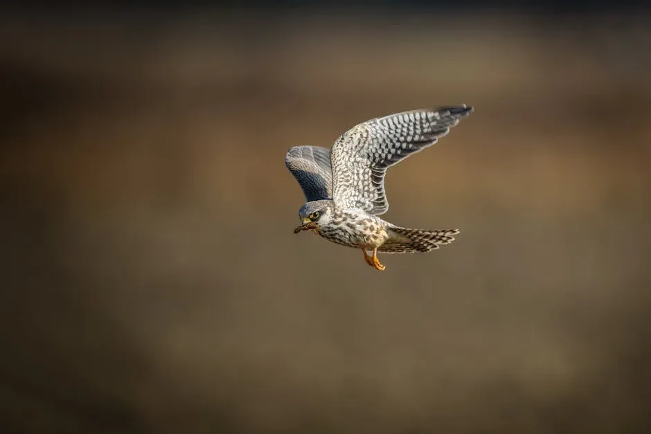 Conclusion: The Ghost That Still Haunts the Sky (Image Credits: Pexels)