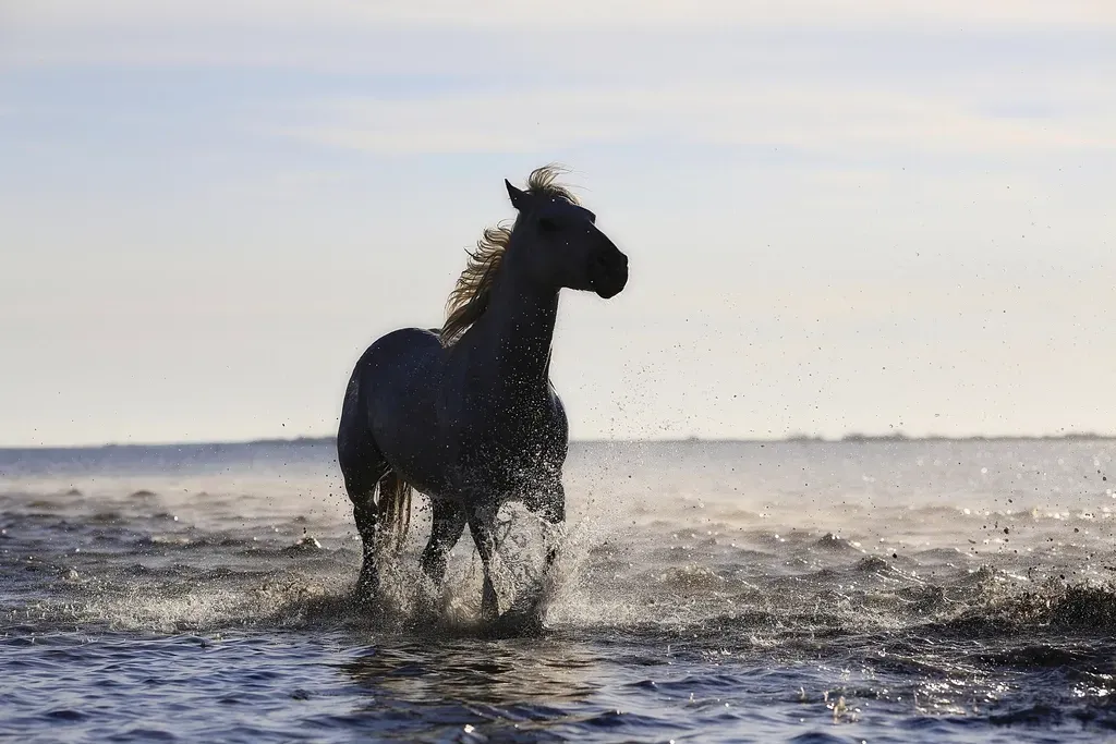 Career Paths Where Horses Thrive (Image Credits: Rawpixel)