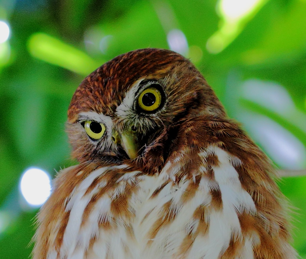 The Weight of Overthinking (Image Credits: Flickr)