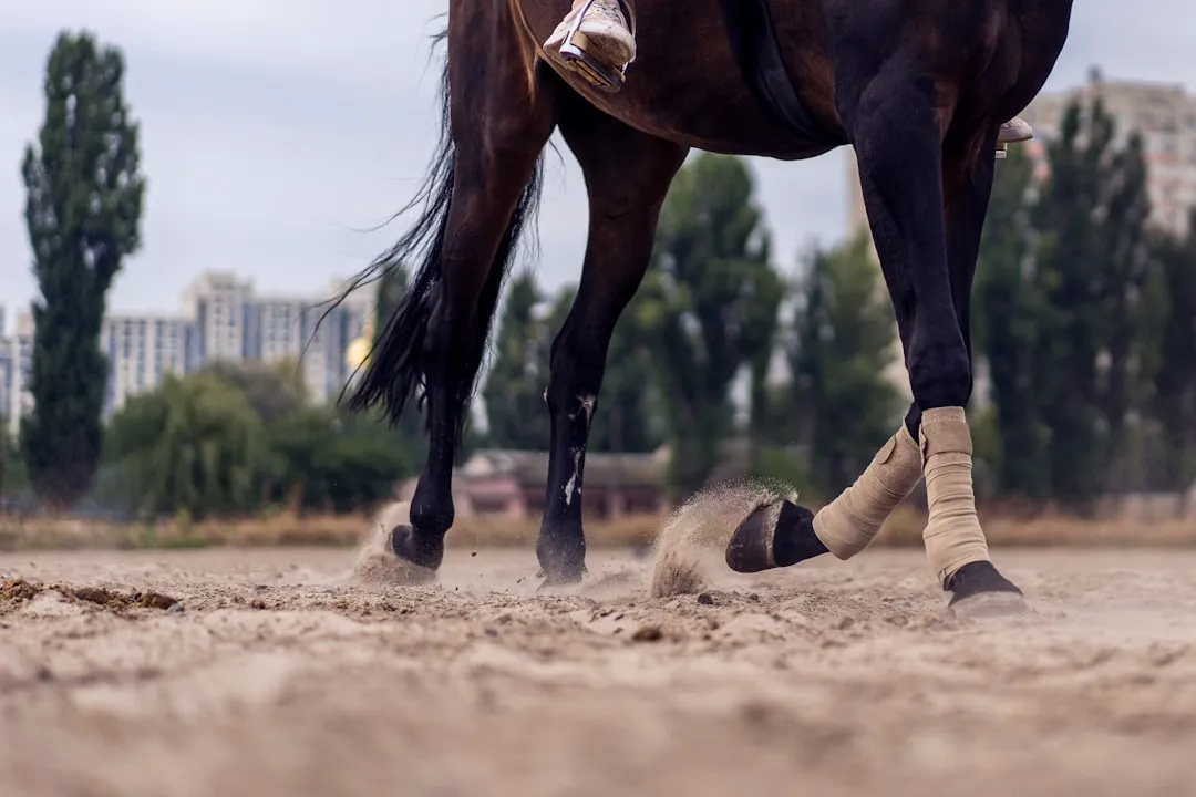 16. Season‑To‑Season Shifts In Hoof Quality That Reveal Age‑Related Metabolism Changes (Image Credits: Unsplash)