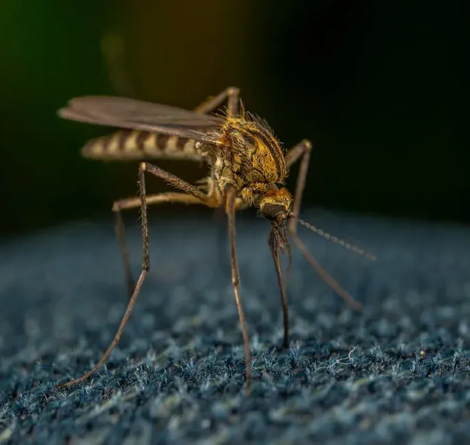 Mosquitoes: More Than Just an Itchy Bite (Image Credits: Pexels)