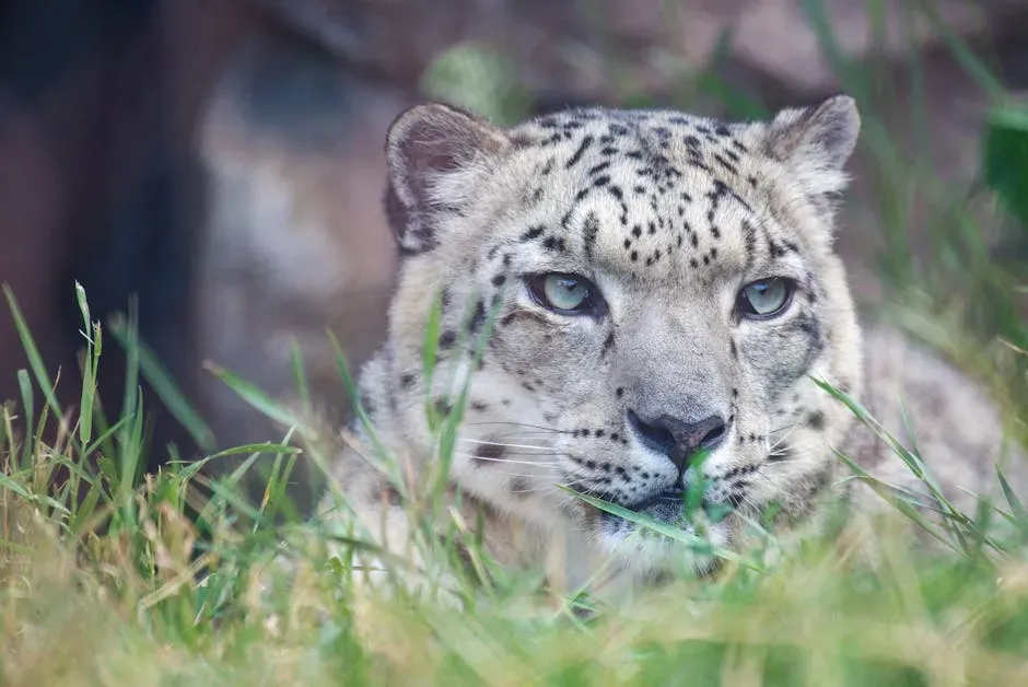 Climate Change Is Now the Leading Threat to US Species (Image Credits: Pexels)