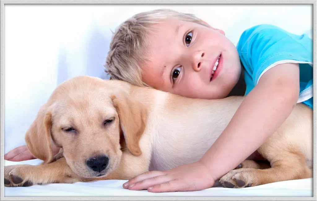 2. Labrador Retriever: Boundless Energy, Boundless Love (Image Credits: Flickr)
