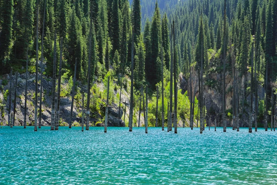 #6 - Bear Lake, Utah/Idaho (Image Credits: Unsplash)