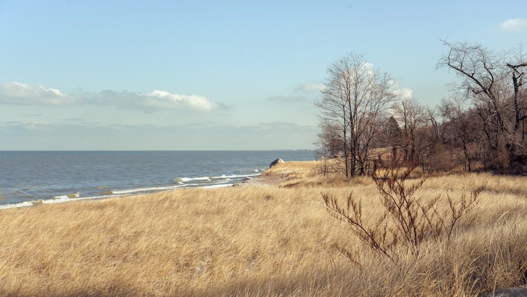 Indiana Dunes National Park, Indiana (Image Credits: Unsplash)